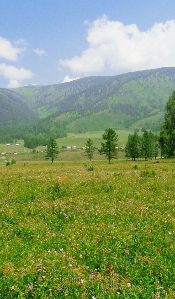 Российский пейзаж с холмами