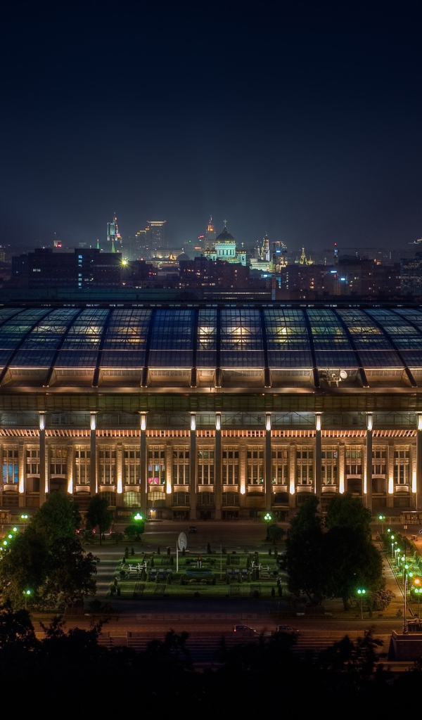 Стадион в Москве