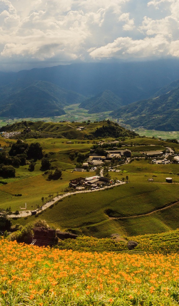 Холмистый зеленый пейзаж Тайваня