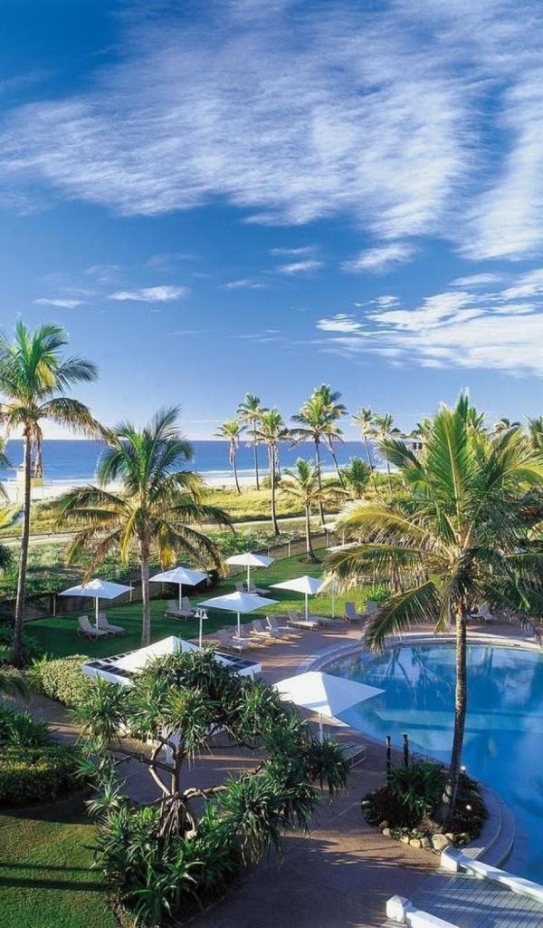 Отдых у моря под пальмами