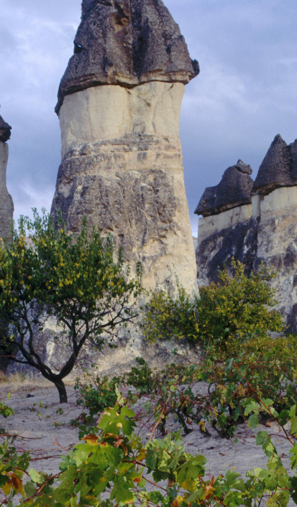 Волшебные дымоходы Турции с черными вершинами
