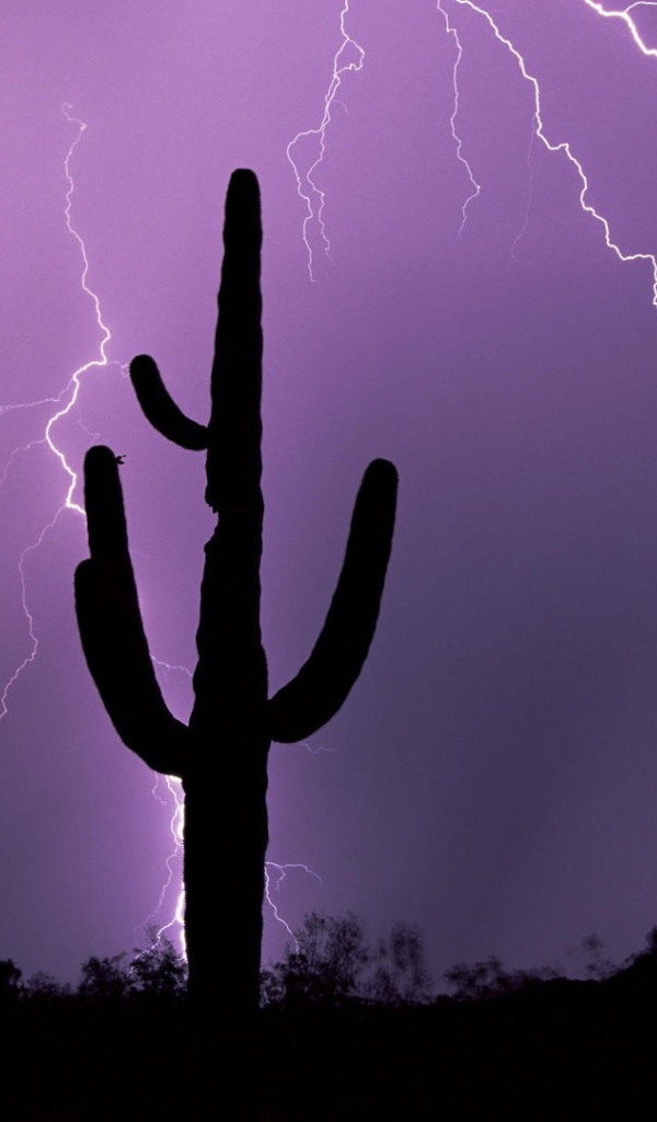 Гроза в Аризоне