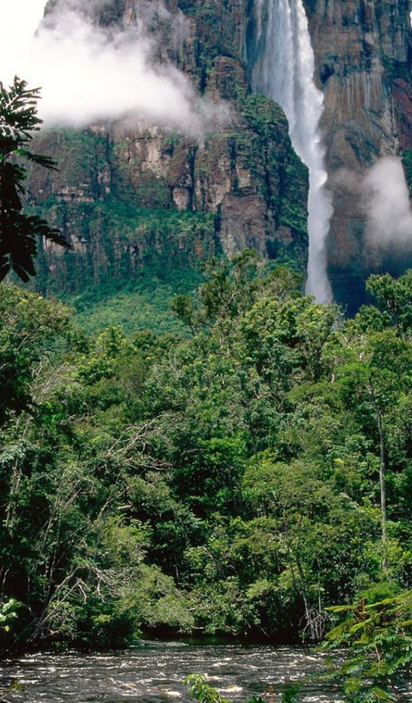 Национальный парк Венесуэлы