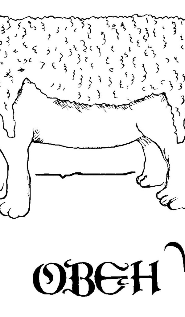 Овен, смешная картинка