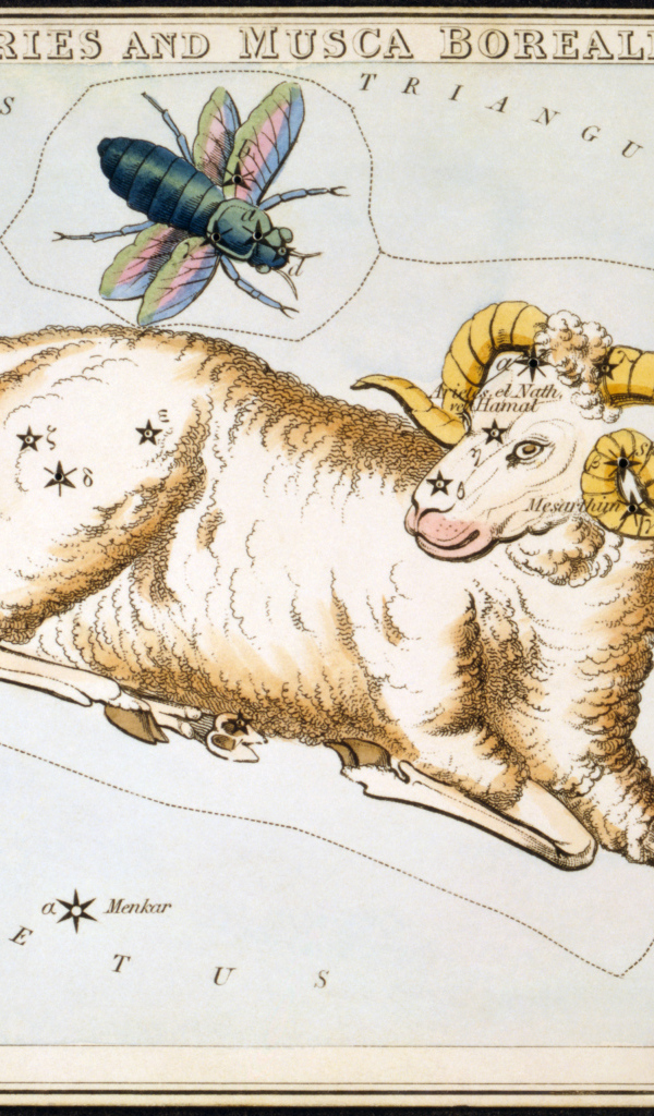 Овен на карте звёздного неба