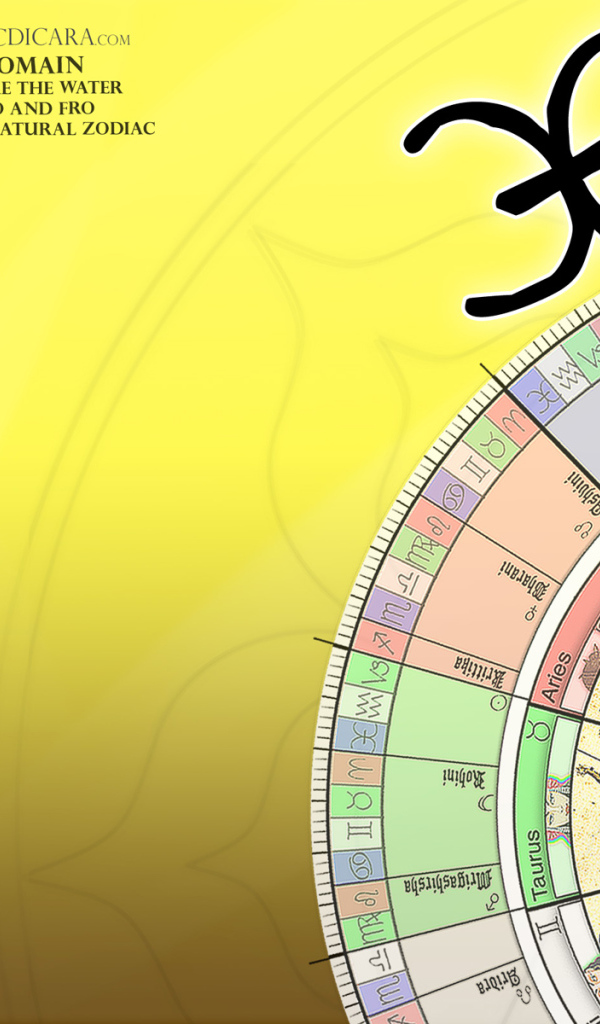 Знаки зодиака на жёлтом фоне