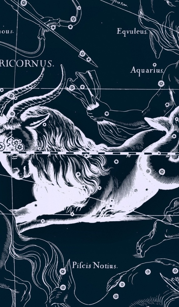 Карта звездного неба, козерог