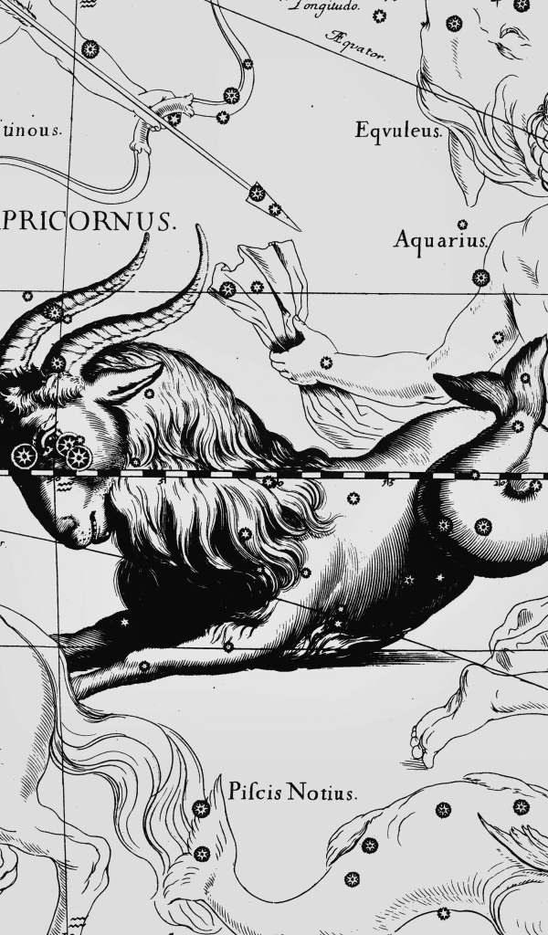 Карта звездного неба, козерог, белый цвет