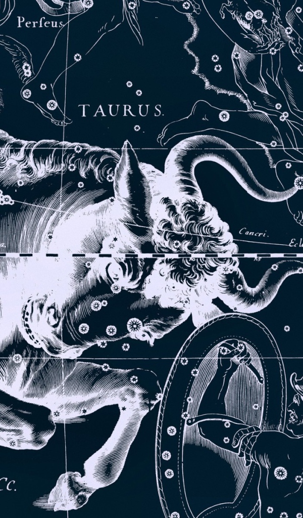 Карта звездного неба, телец