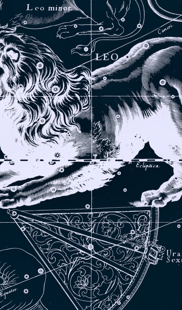 Карта звездного неба, лев