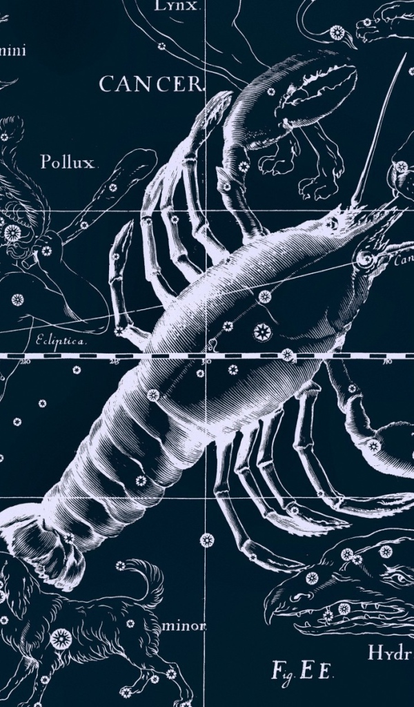 Карта звездного неба, рак