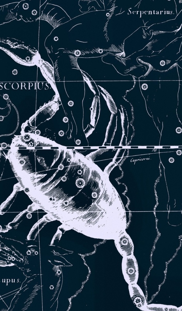 Карта звездного неба, скорпион
