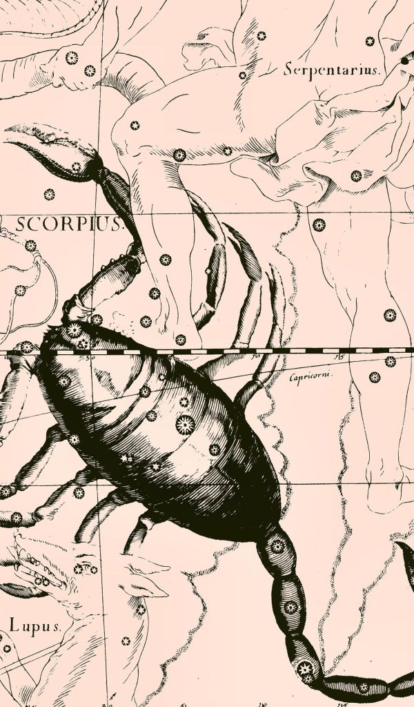 Карта звездного неба, скорпион, розовый цвет