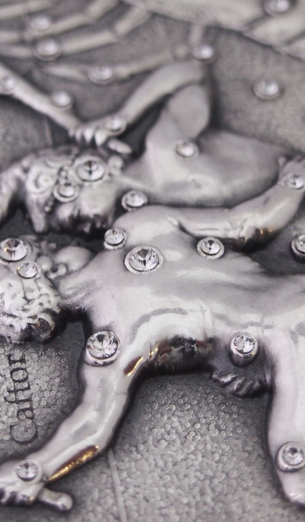 Близнецы на монете