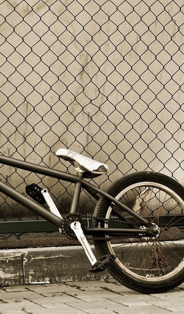 Спортивная девушка с велосипедом