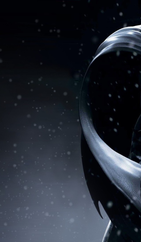 Batman: Arkham Origins The Бэтмен