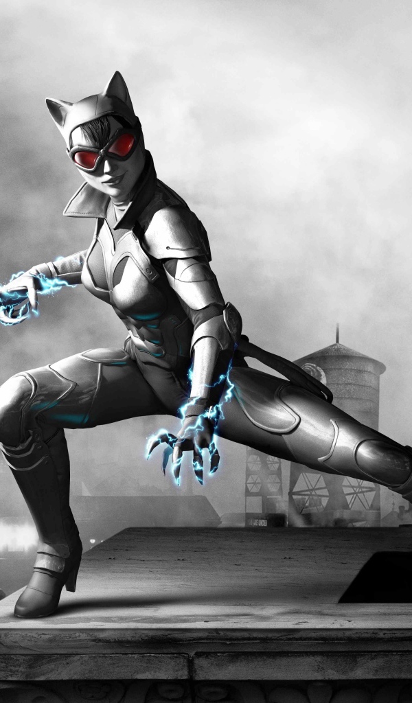 Batman: Arkham Orgins Женщина-кошка