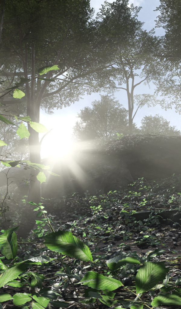 Battlefield 4 солдат в лесу