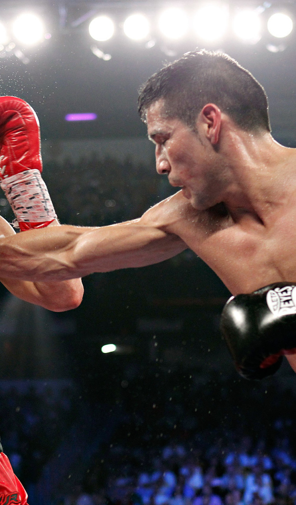 Боксер Хулио Сезар Чавес-Sr