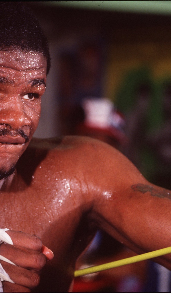 Боксер Риддик Боу