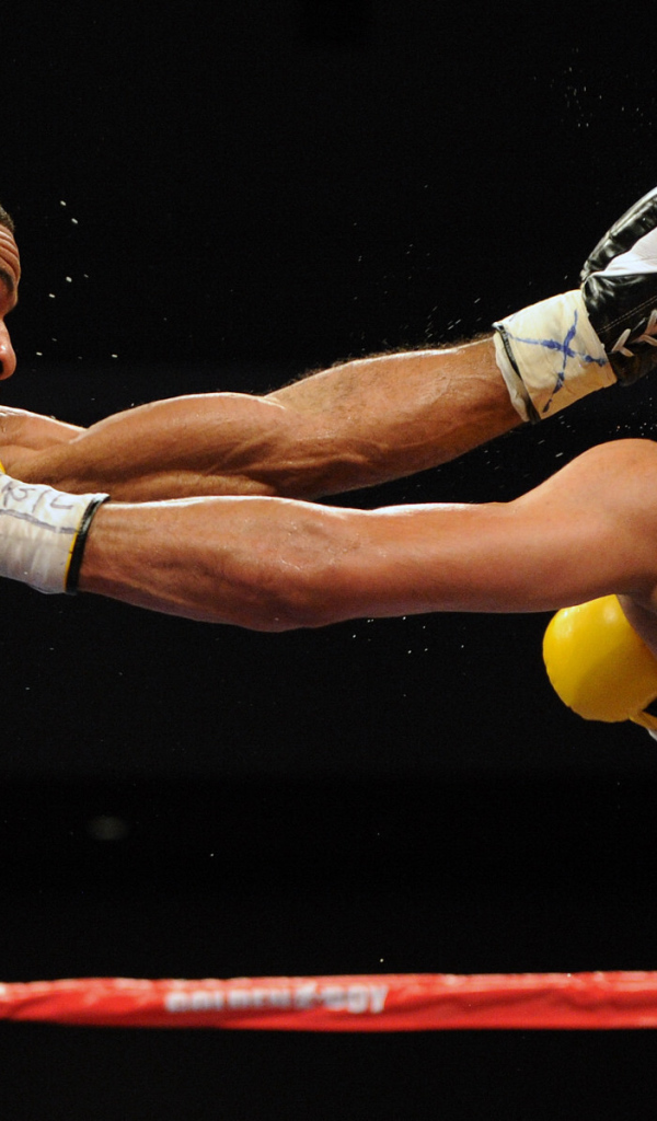Boxer Riddick Bowe crushing blow