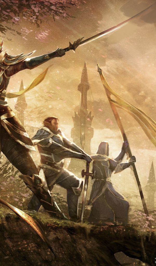 Elder Scrolls Online: эльфы собираются в бой