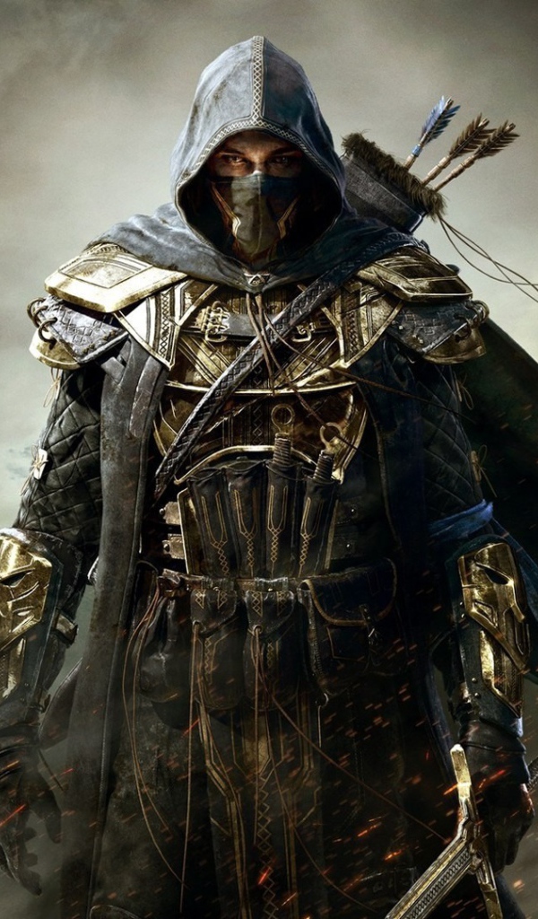 Elder Scrolls Online: убийцы с луком