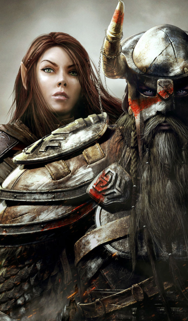 Elder Scrolls Online: варвар маг и лучник