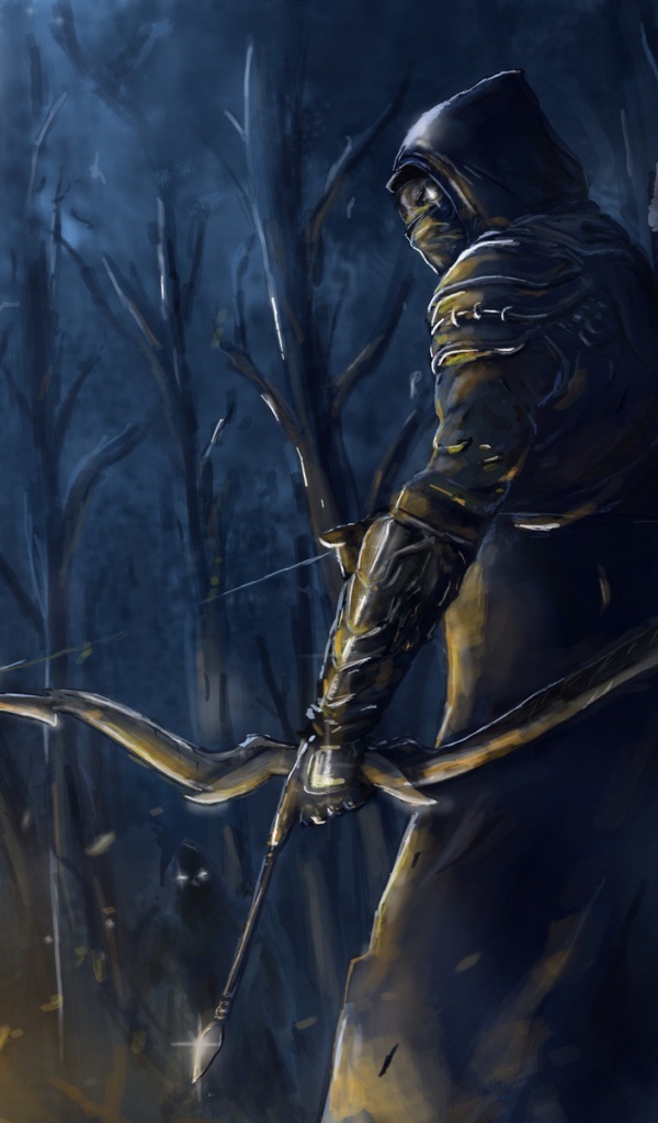 Elder Scrolls Online: the archer