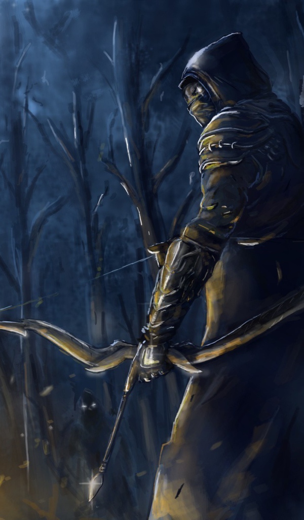 lder Scrolls Online: лучник