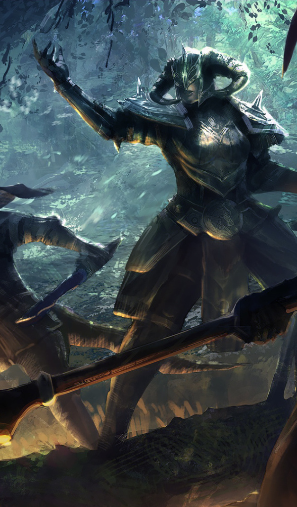 Elder Scrolls Online: темные Эльфы