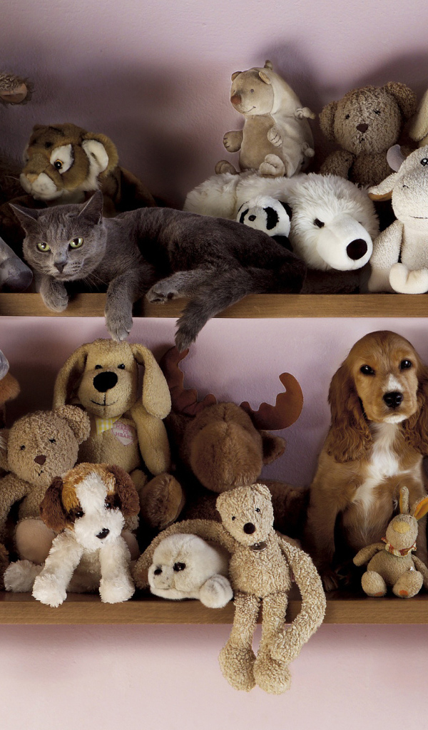 Find the cat among children's toys