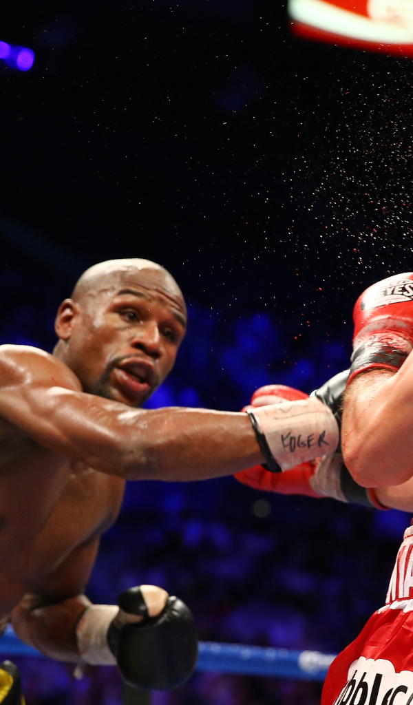 Флойд Мэйуэзер-младший в ринге