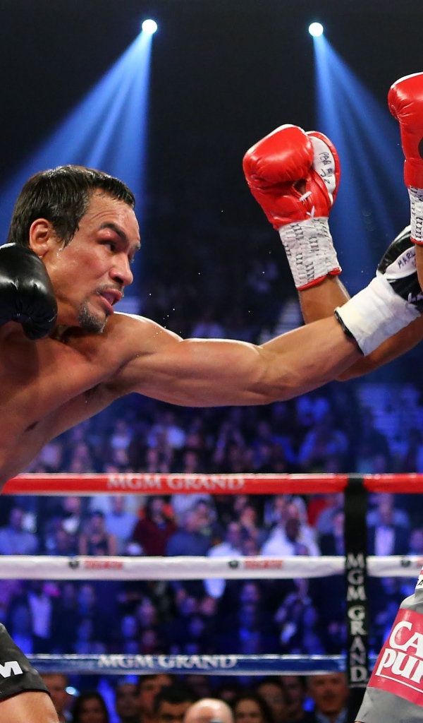 Хуан Мануэль Маркес против Тимоти Брэдли