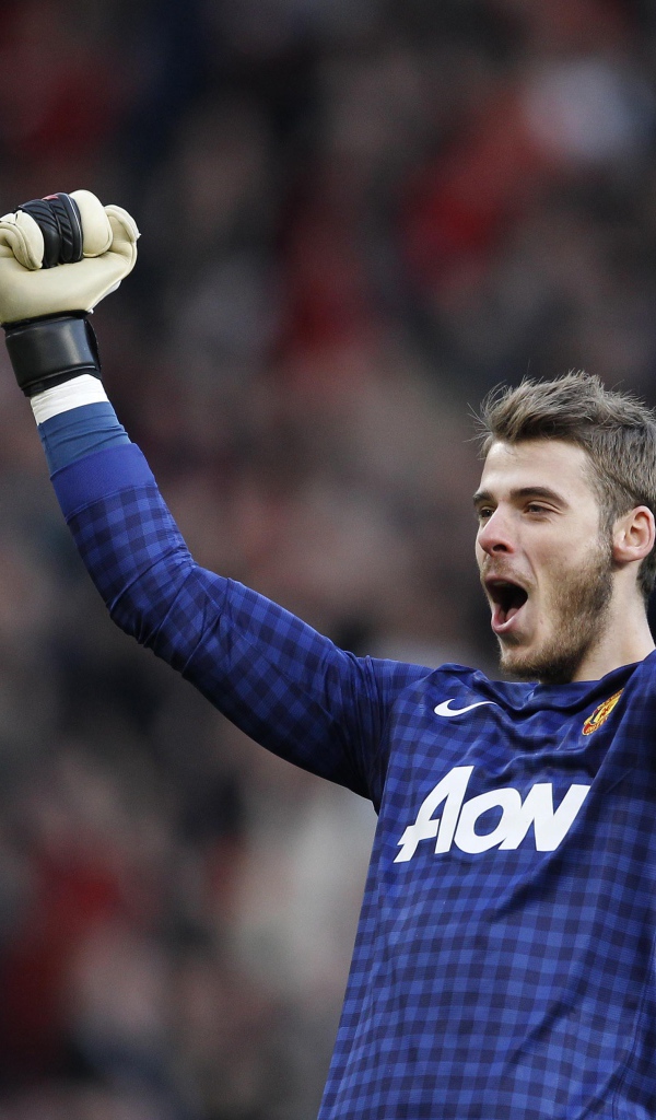 Манчестер Юнайтед Давид Де Хеа после игры