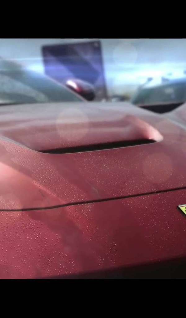 Need for Speed Rivals: яркие огни