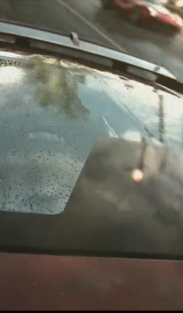 Need for Speed Rivals: вид сзади