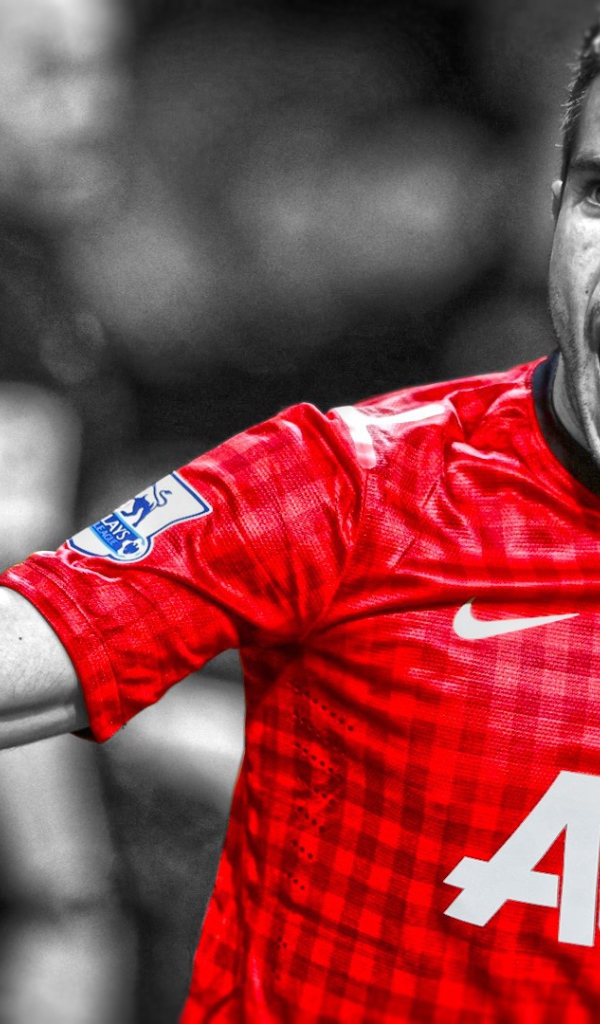 Нападавший Манчестер Юнайтед Робин ван Перси торжествует победу