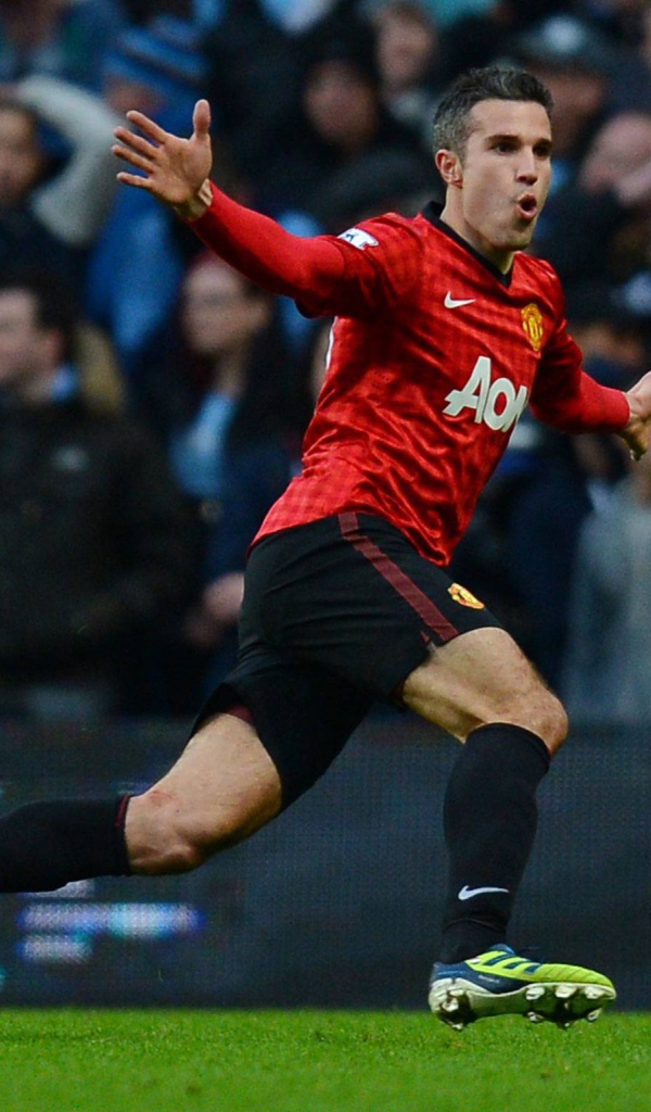 Футболист Манчестер Юнайтед Робин ван Перси забил гол