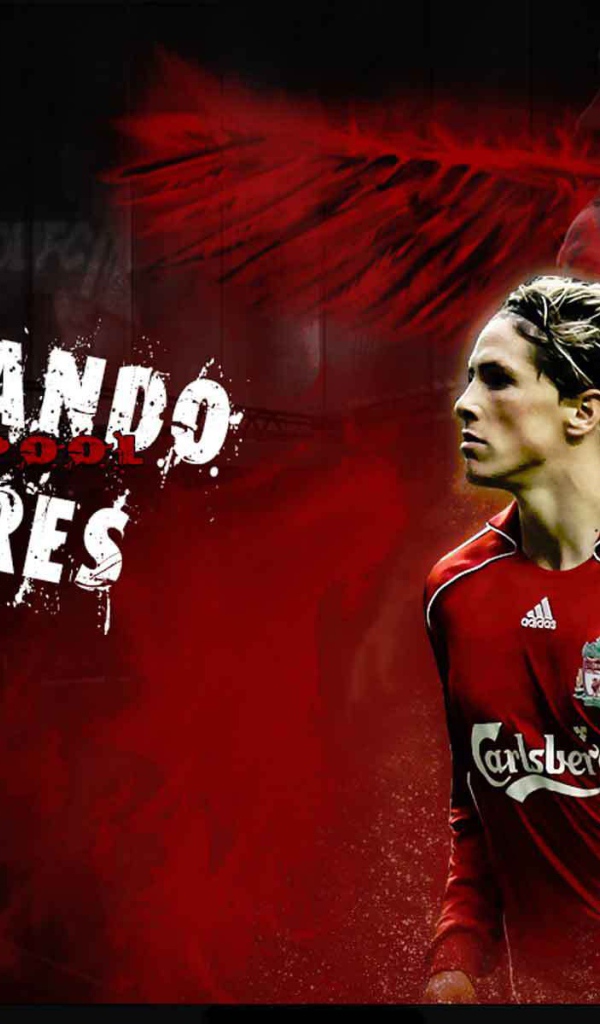 Нападающий Челси Фернандо Торрес