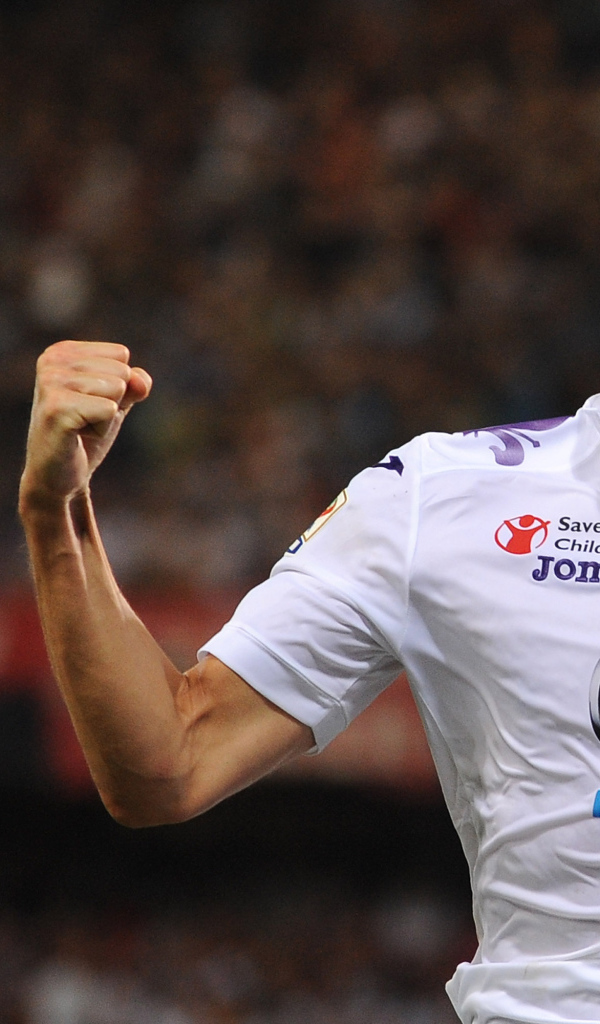 Нападающий Фиорентины Марио Гомес