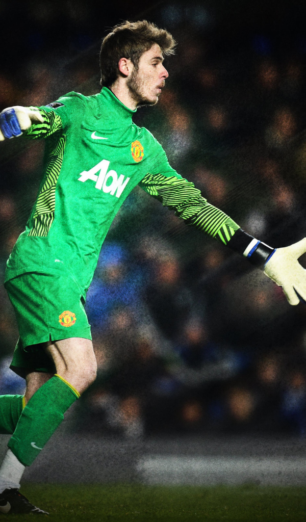 The goalkeeper of Manchester United David De Gea catching a ball