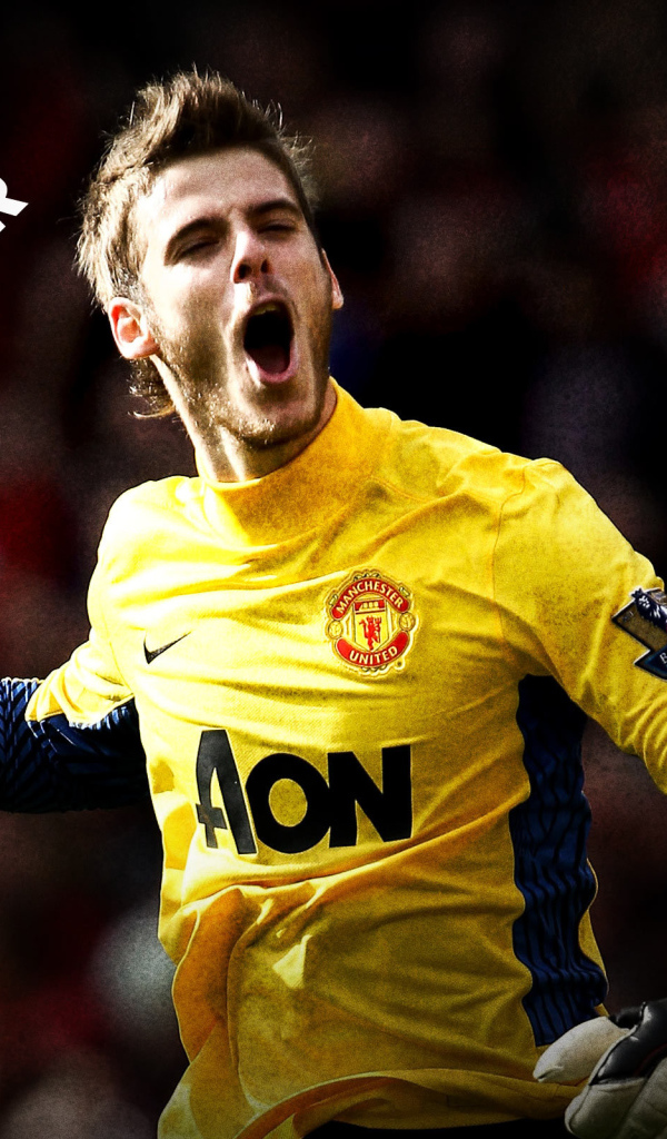 The goalkeeper of Manchester United David De Gea is a best player of november