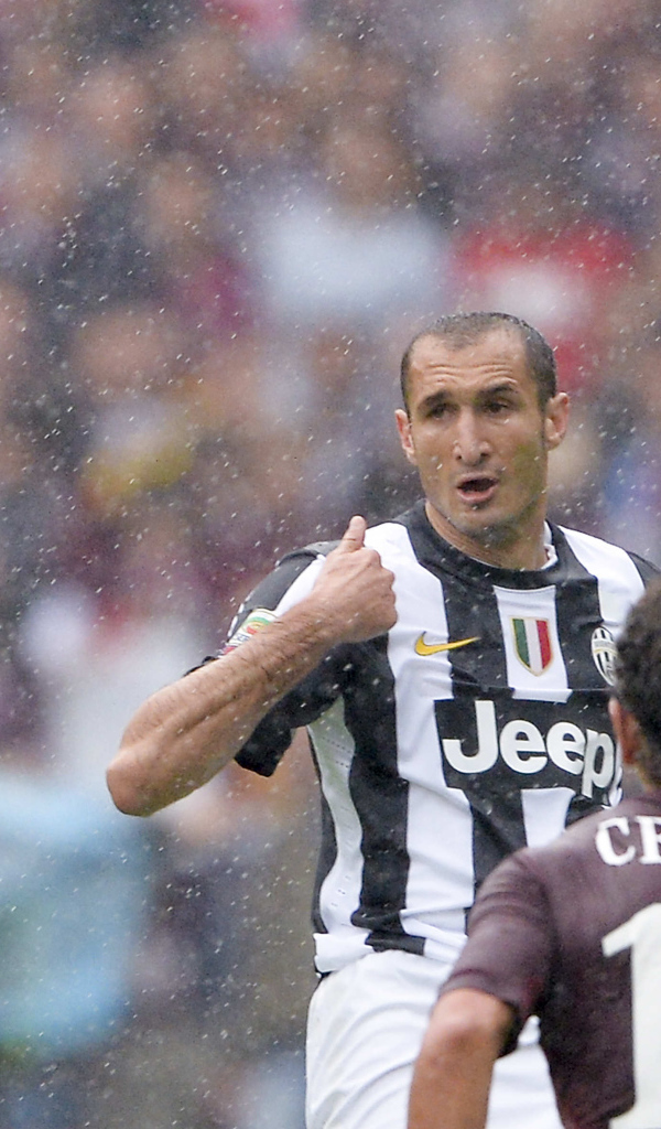 The irreplaceable halfback of Juventus Giorgio Chiellini