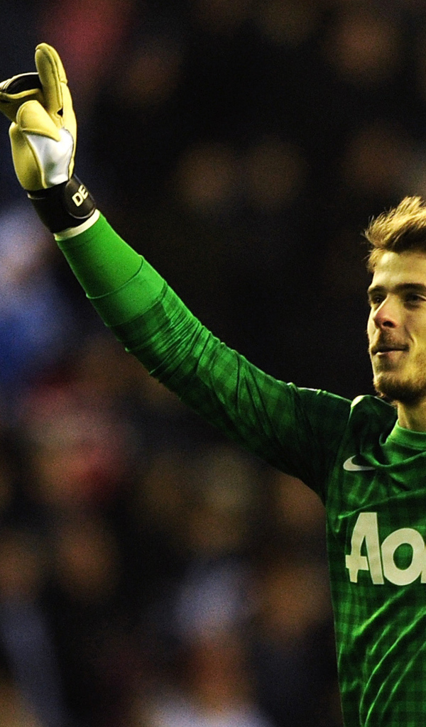 Игрок Манчестер Юнайтед Дэвид Де Хеа