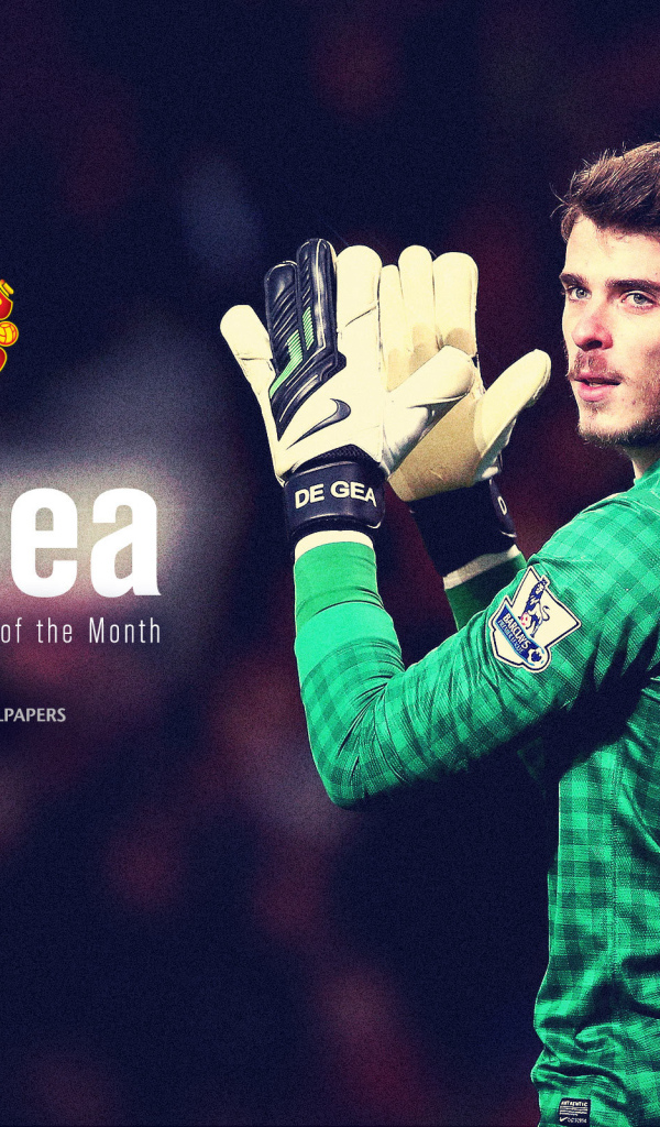The player of Manchester United David De Gea in dark colors