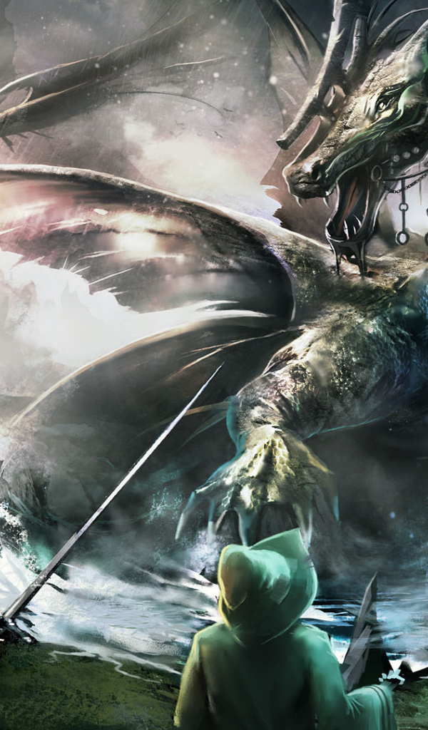 Trine 2 Complete Story: сражаются с драконом