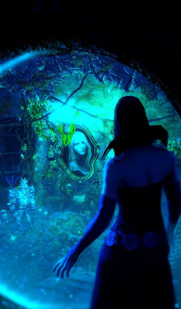 Trine 2 Complete Story: портал