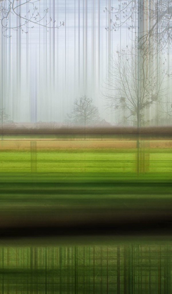 Размытый лес