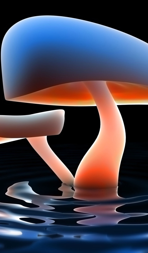 Озеро грибов